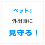 ペットを外出時にカメラで見守る!格安・お手軽に実現する方法